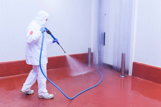 Best Winterizing Services  in Orange Grove, TX