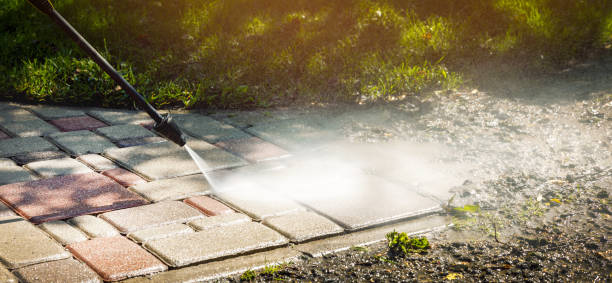 Best Sidewalk and Walkway Cleaning  in Orange Grove, TX